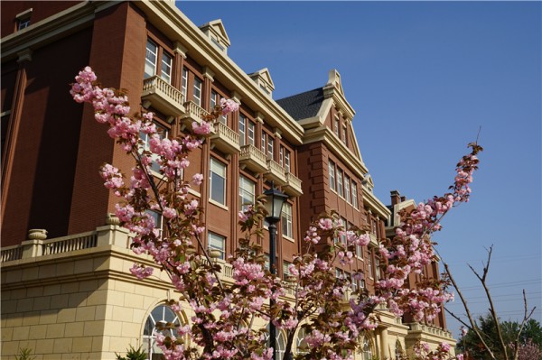 春暖花开的校园